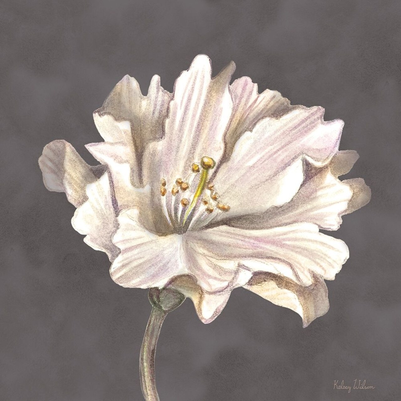 Cream Willow Blossom II Poster Print by Kelsey Wilson # RB14121KWL